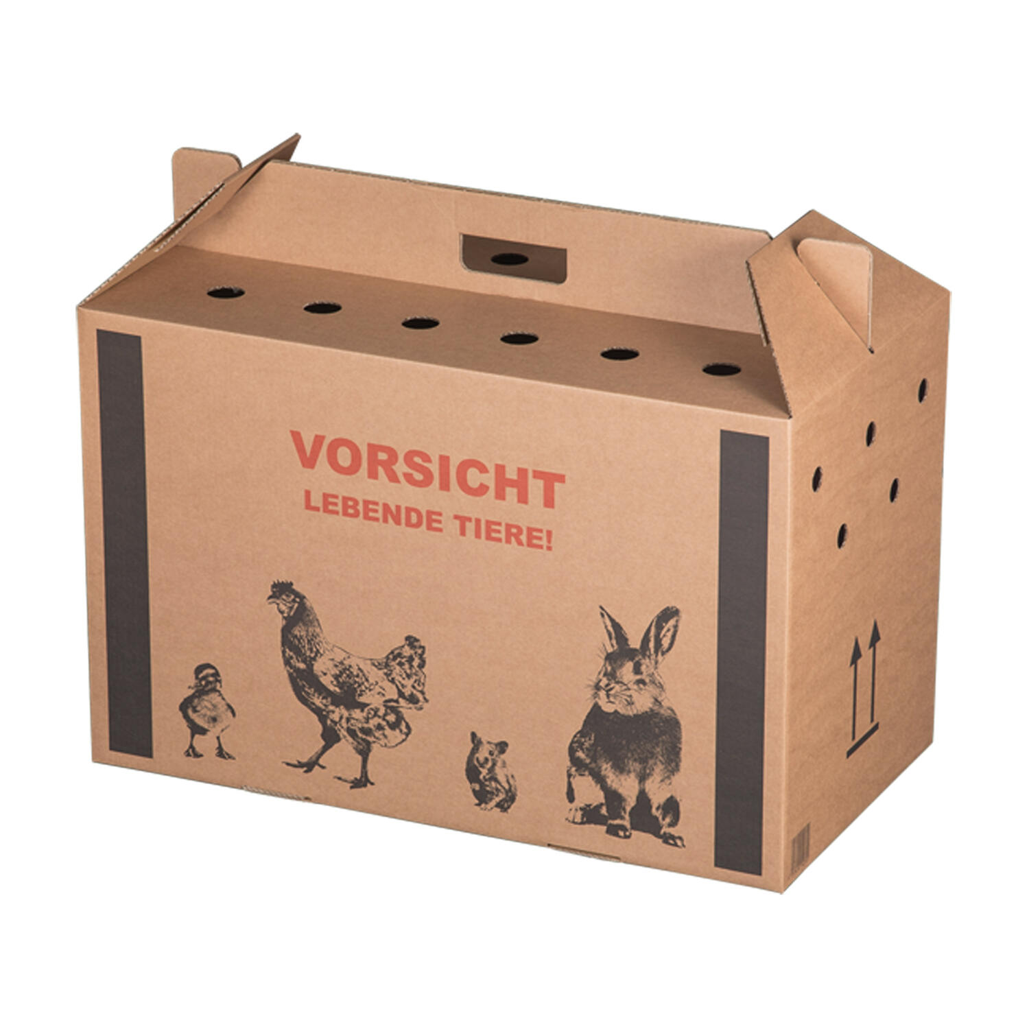 Transportkarton f�r Kleintiere  580x310x370mm mit Tragegriff, Luftl�chern und Automatikboden - Gr��e L